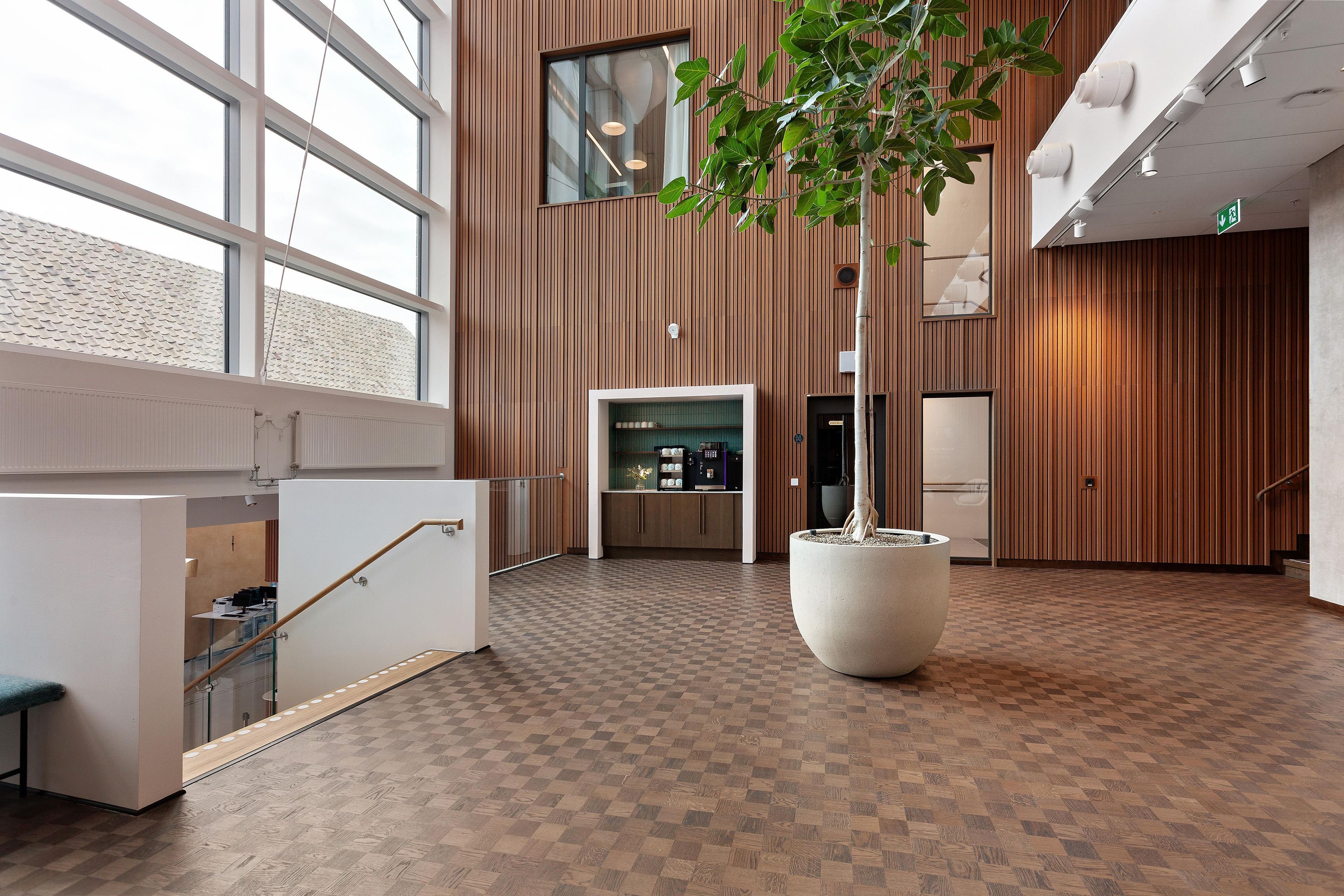 A spacious lobby with a large potted tree, a reception desk, and a checkered floor pattern.
