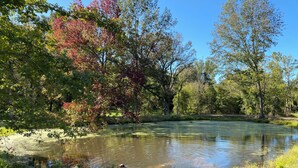 Miscellaneous - Tranquil 2-bedroom house with AC, fire pit, & game room in the Ozarks (Marshall)