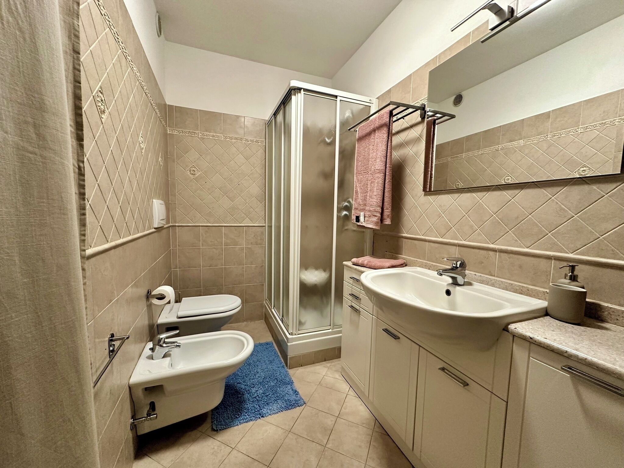 Shower, hair dryer, bidet, towels