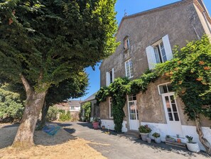 A courtyard with a large tree, a building with ivy, and potted plants. - "La Bone École" guesthouse - La Récré (Les Landes-Genusson)