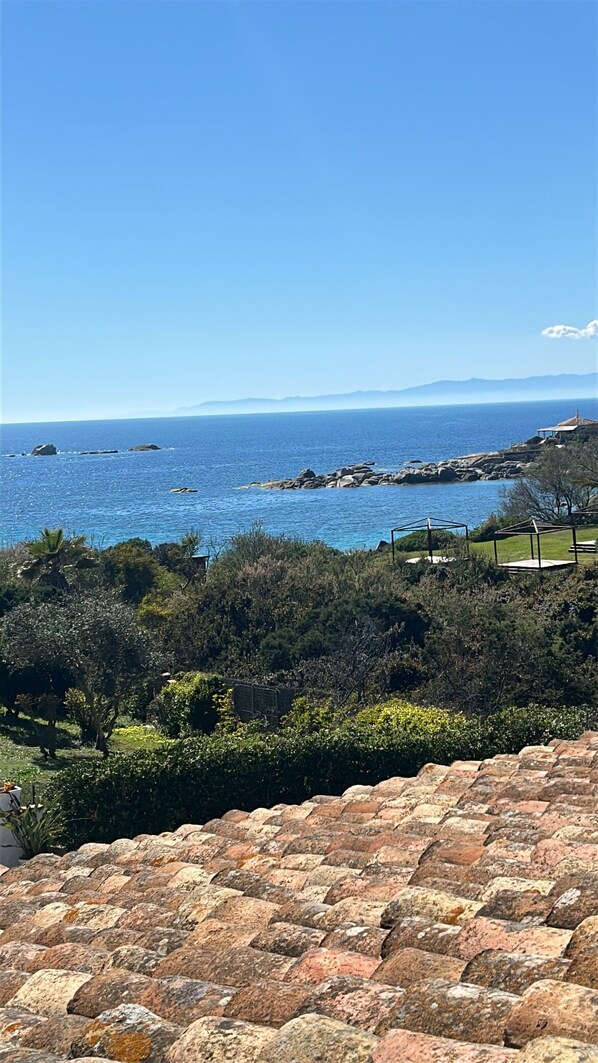 Vista costera con cielo despejado, costa rocosa y abundante vegetación.
