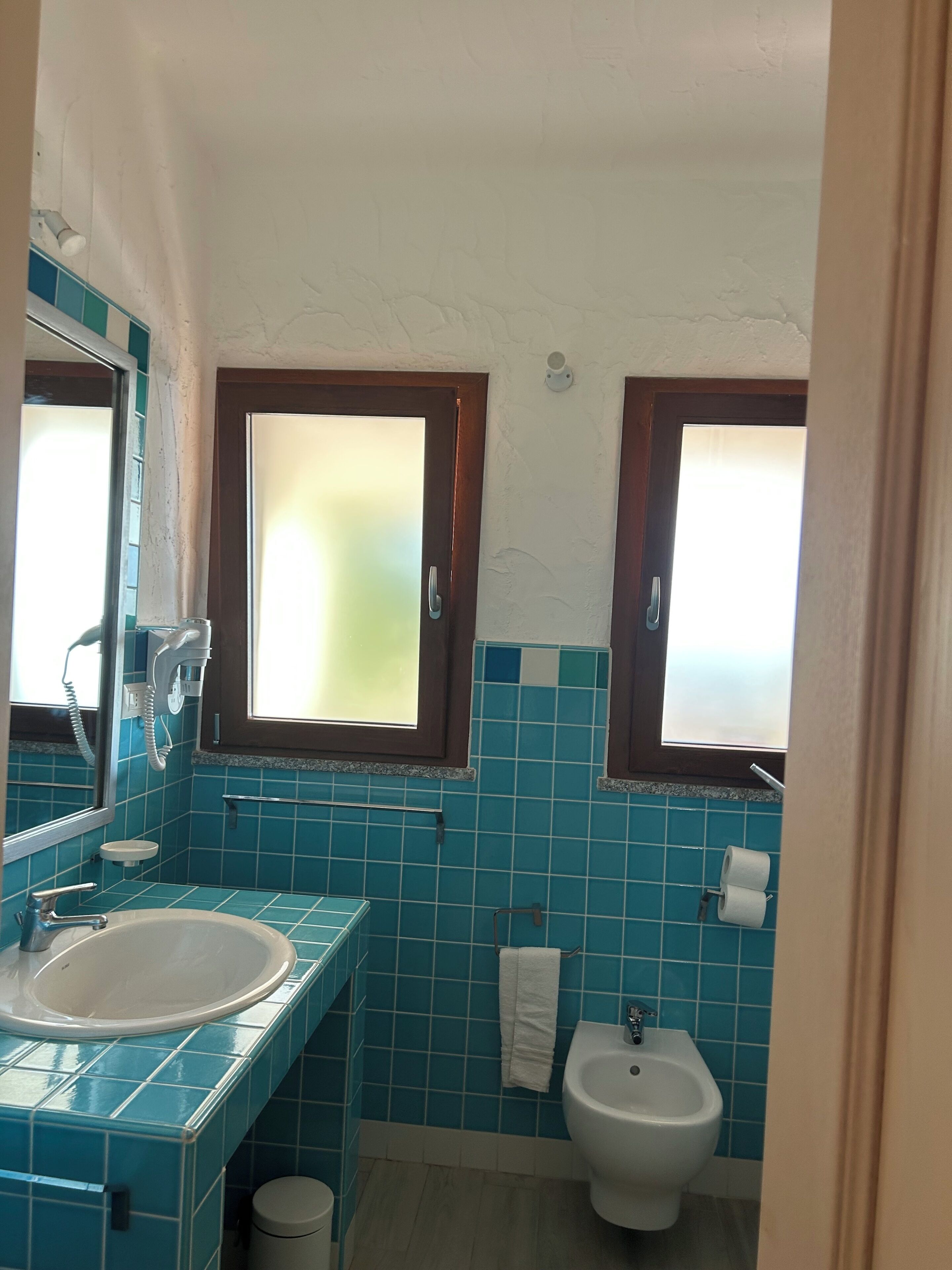A bathroom with a sink, bidet, and two windows.