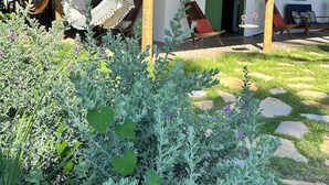 Une maison avec une véranda, des hamacs et un jardin.