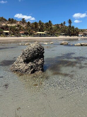 Ubicación a pie de playa y tumbonas