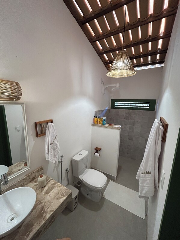 Shower, towels, toilet paper
