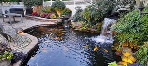 Property grounds - Lovely 2-bedroom brick home in pleasant Hanover with a backyard oasis (Hanover)