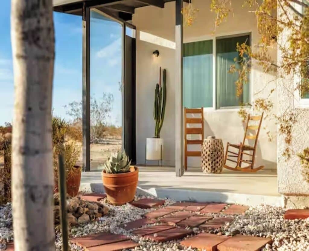 A modern outdoor patio with a cactus, a wooden rocking chair, and a potted plant.