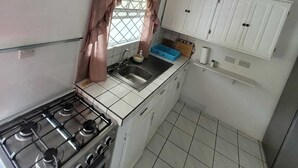 Una cocina compacta con estufa a gas, un lavamanos y un ventanal con cortinas.