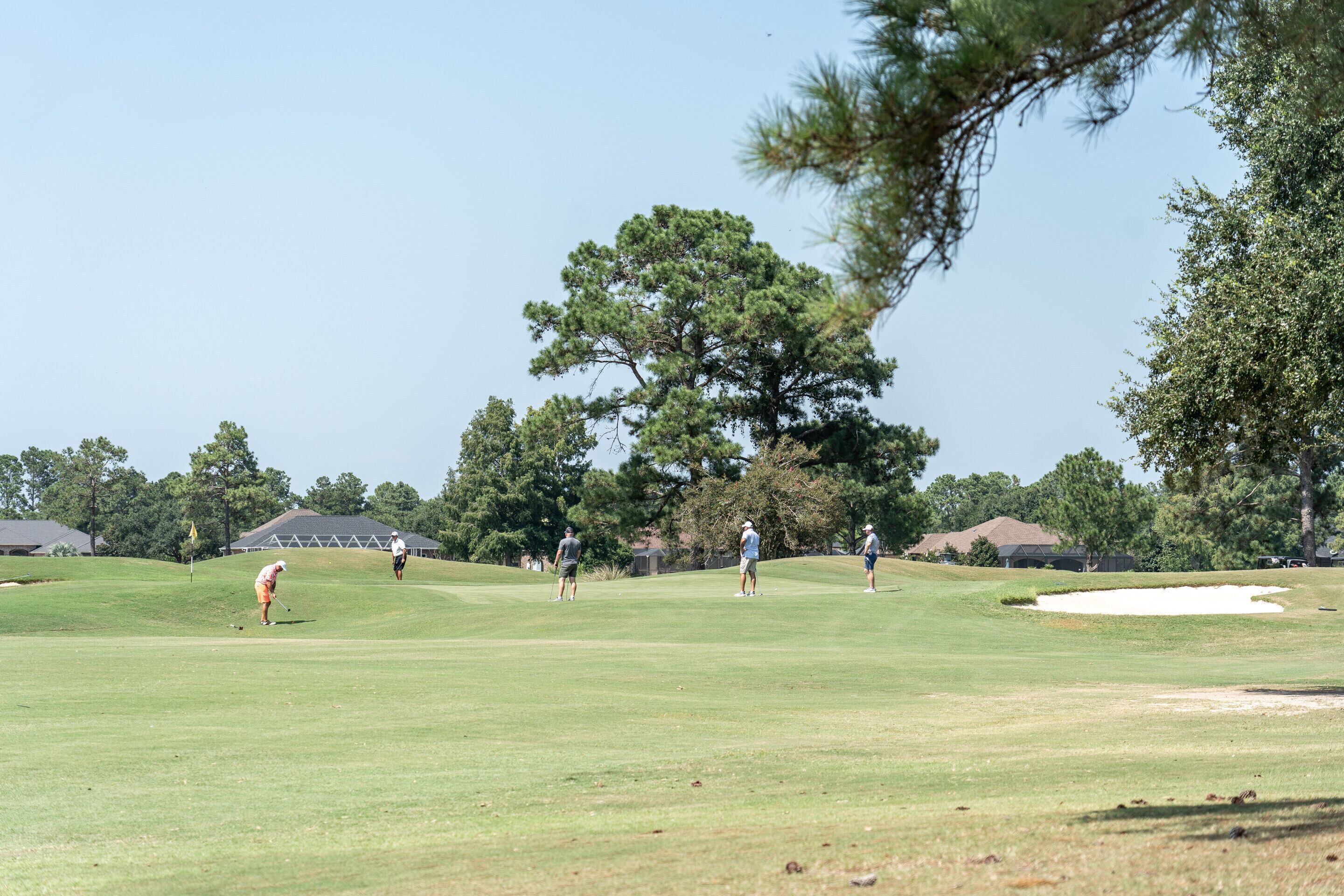 Un campo de golf bajo un cielo despejado, con un árbol grande y varias personas jugando.