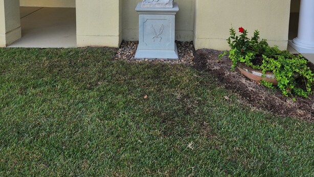 Unclassified image, 1 of 33, button - Villa D-Villa Ensuite (Gulfshores)