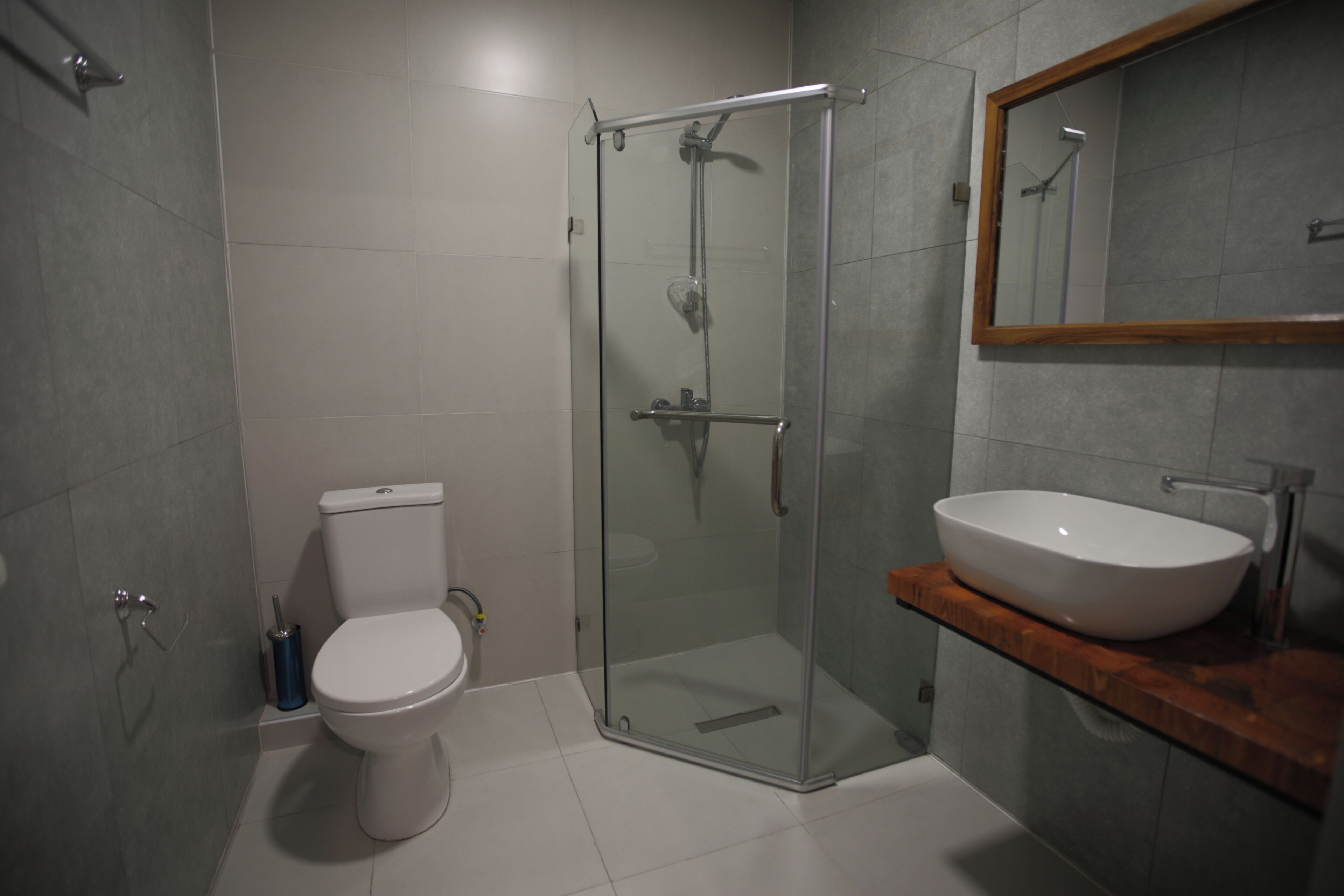 A bathroom with a glass-enclosed shower, a white toilet, and a wooden vanity with a white sink.