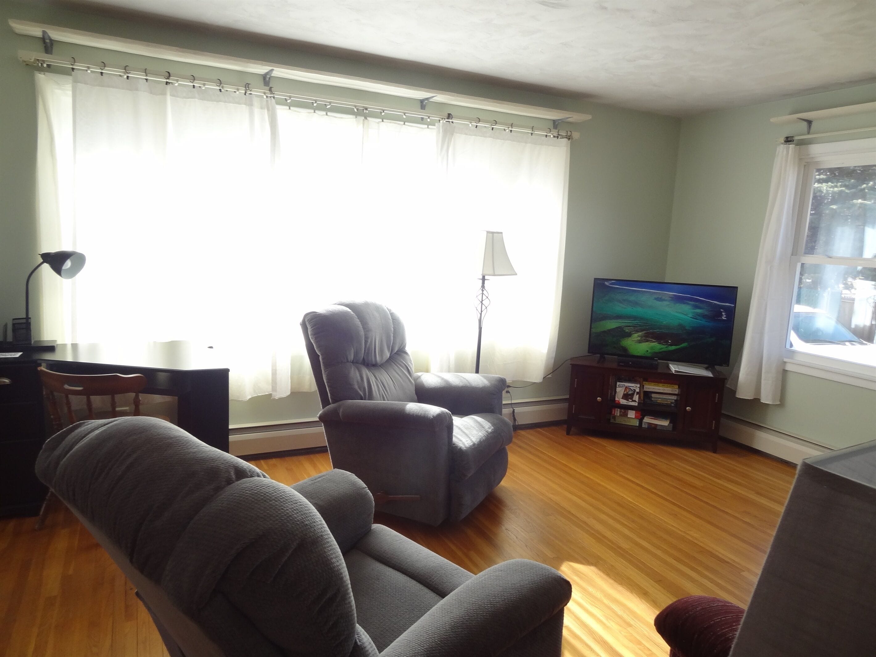 Smart TV, DVD player, books, video library