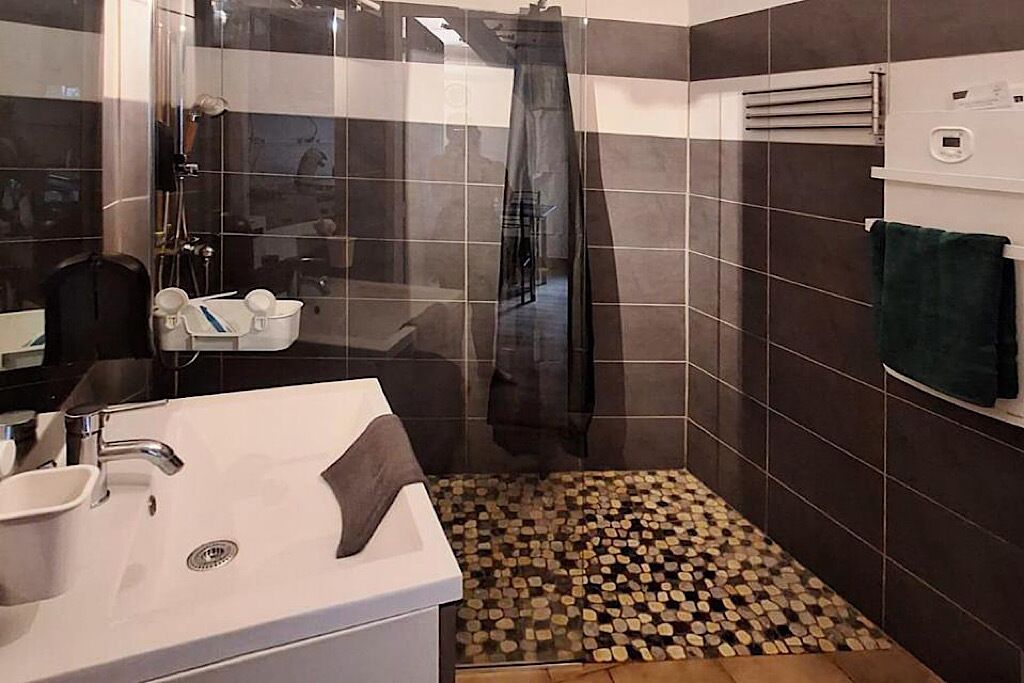 Shower, hair dryer, towels, toilet paper