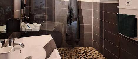 Shower, hair dryer, towels, toilet paper