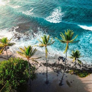 On the beach - Exceptional Oceanfront Luxury Condo, Top Floor, Full AC, Elevator (Kailua-Kona)