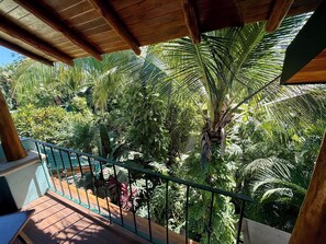 Terrain de l’hébergement 