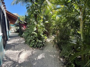 Terrain de l’hébergement 