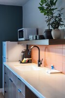 Una cocina con un lavamanos, microondas, una planta y una cafetera.