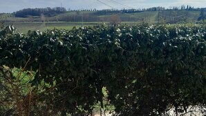 Buiten dineren