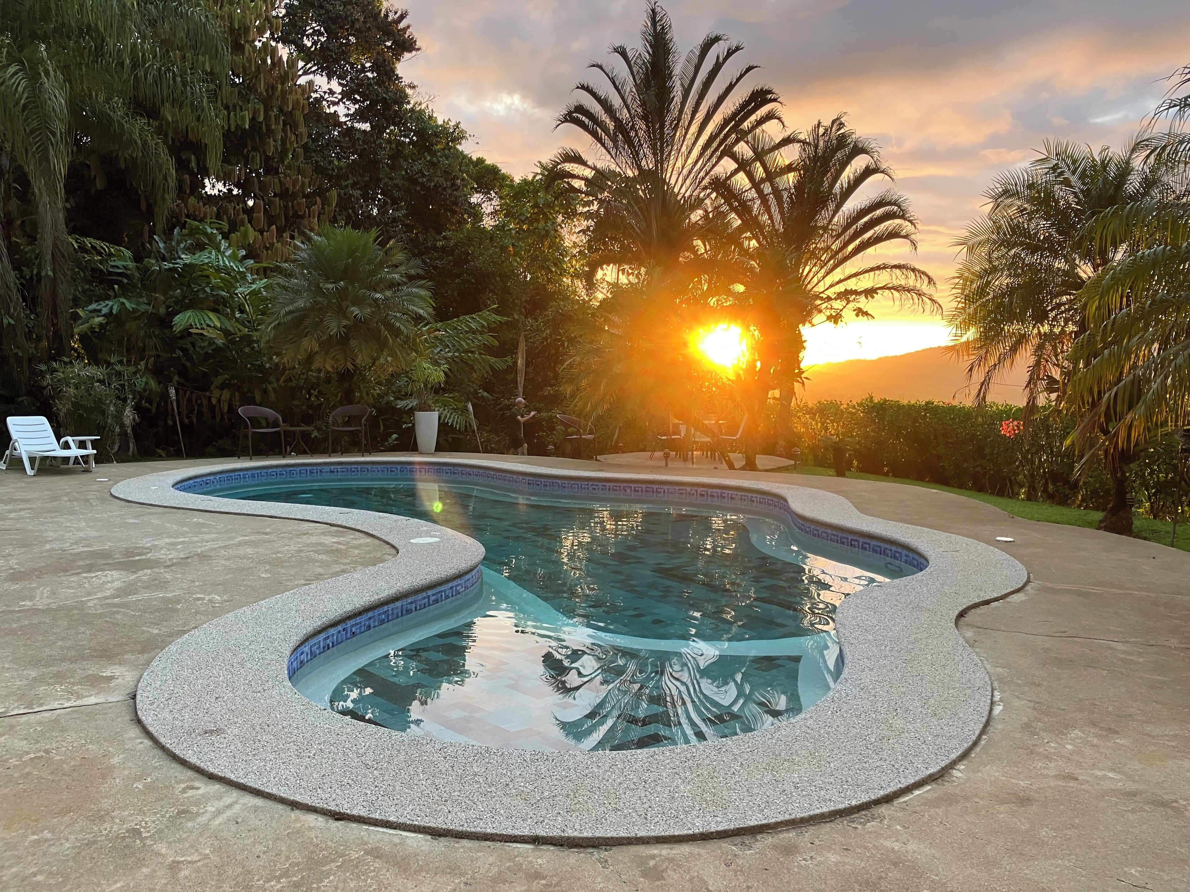 En swimmingpool med bølget kant, omgivet af frodigt grønt og palmer, med solnedgang i baggrunden.