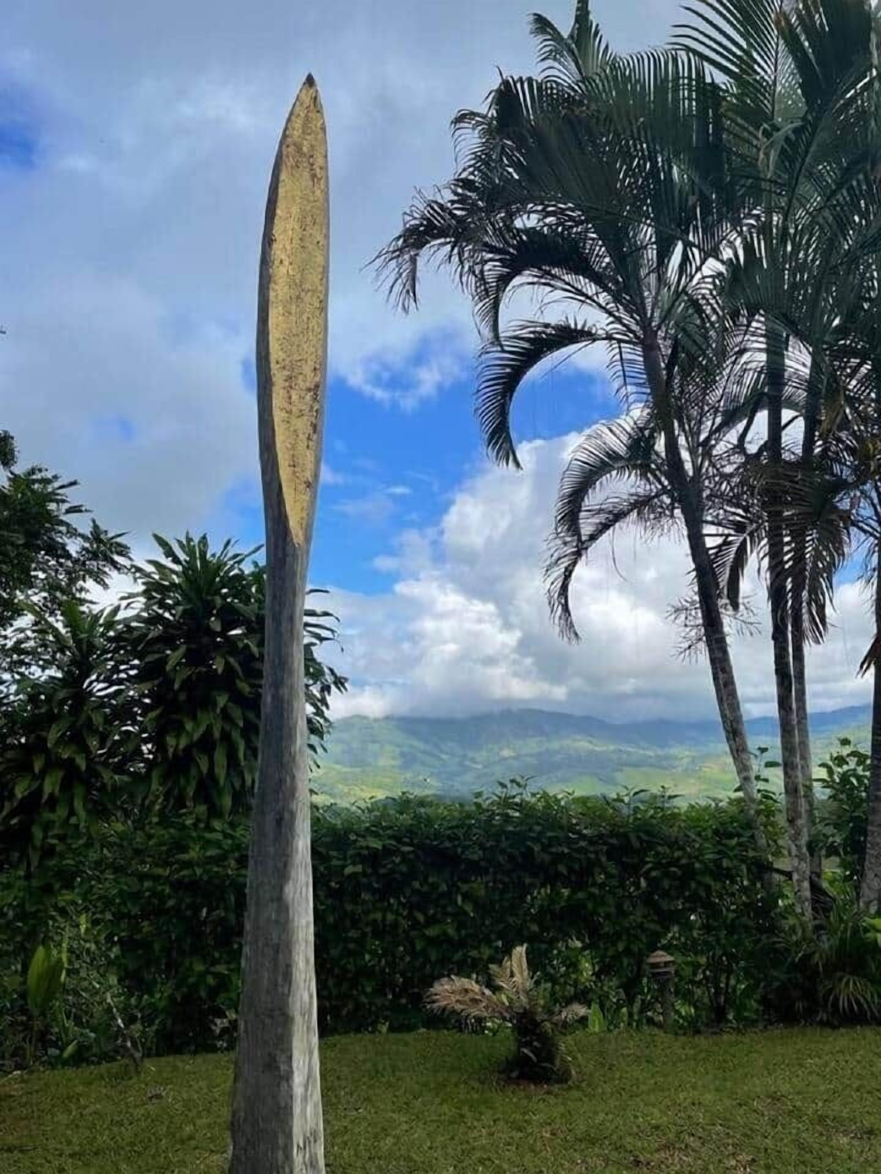 A tall, narrow stone structure in a lush garden with palm trees and a mountainous landscape in the background.