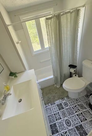 Hair dryer, towels, soap, toilet paper - 2 Bedroom near Hockey Arena, Mesabi Trail & Lake and McKinney Lake View (Grand Rapids)