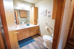 Shower, jetted bath, hair dryer, towels