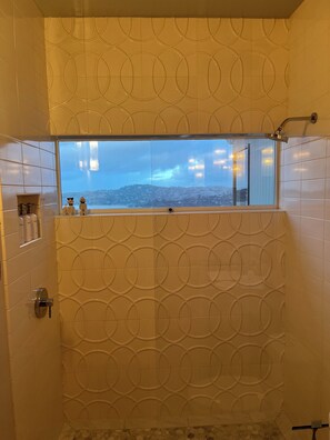 Shower, hair dryer, towels, soap - Furnished 30 to 60 day rental - Feb/March - Architectural Gem with Bay Views (Sausalito)