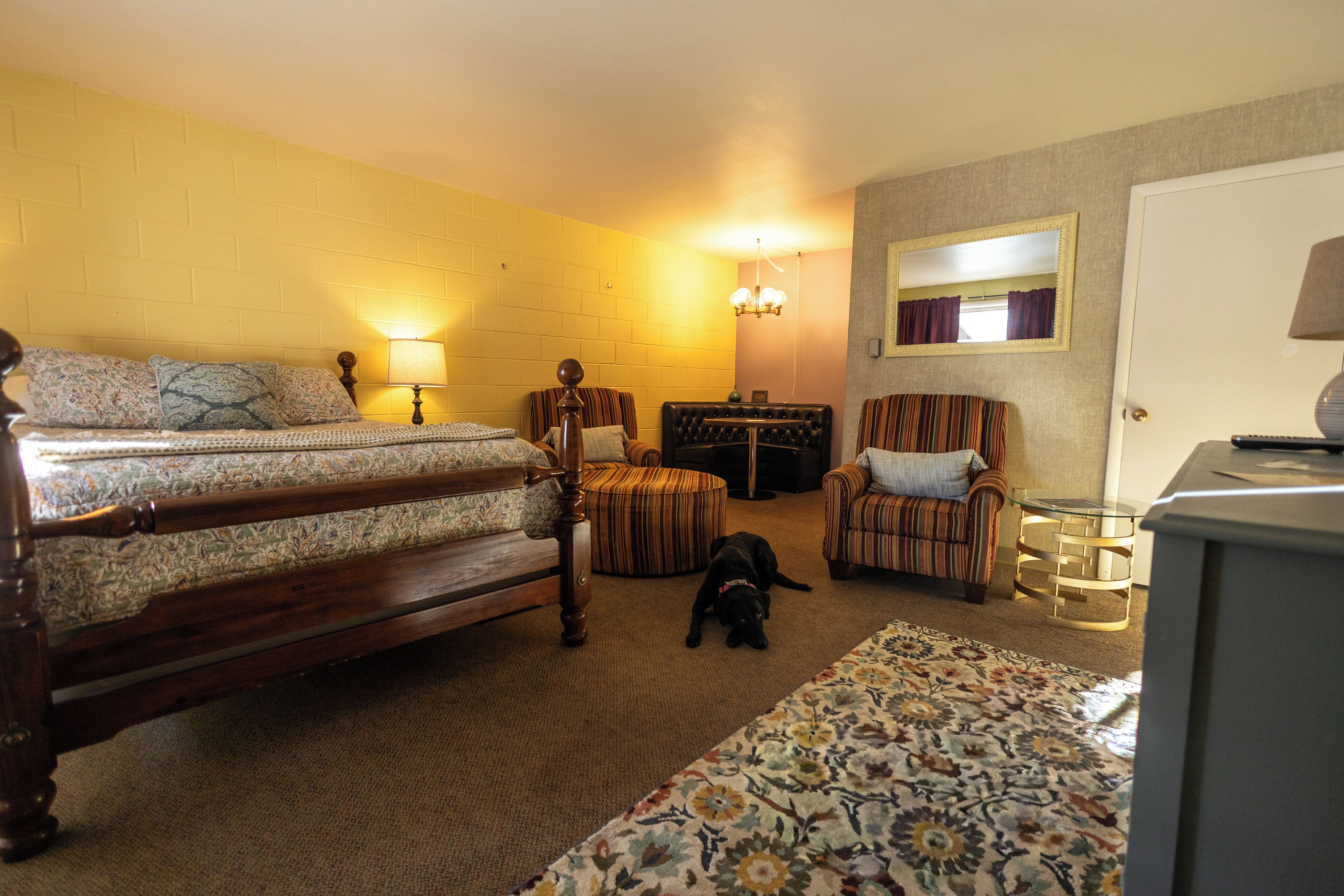 Bügeleisen/Bügelbrett, WLAN, Bettwäsche