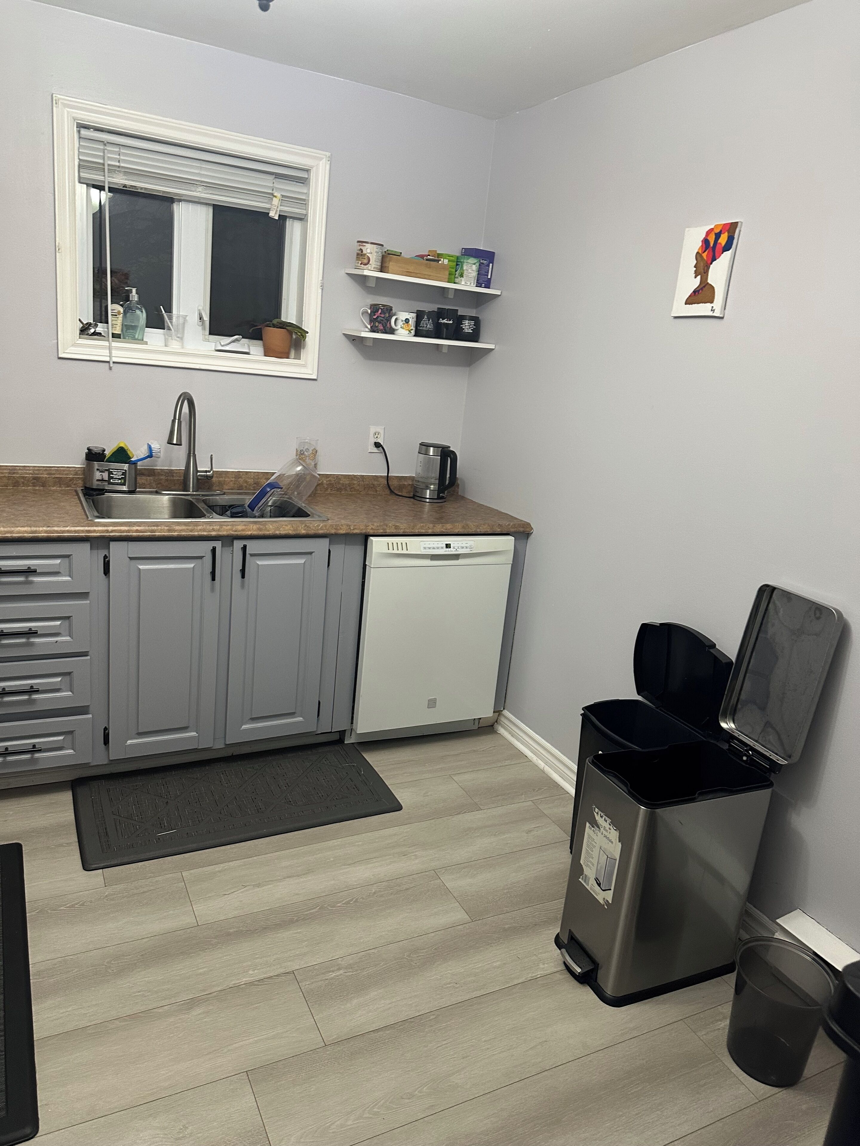 Microondas, horno, parrilla de estufa y lavavajillas 