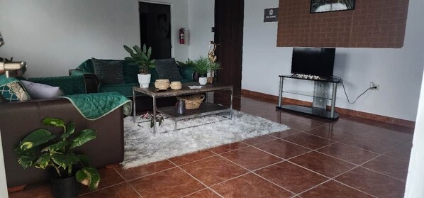 Televisión y tenis de mesa 