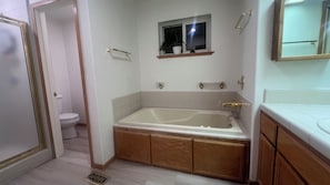 Jetted bath, hair dryer, towels, soap - Where Champions Trained - Tahoe Mountain Retreat (South Lake Tahoe)