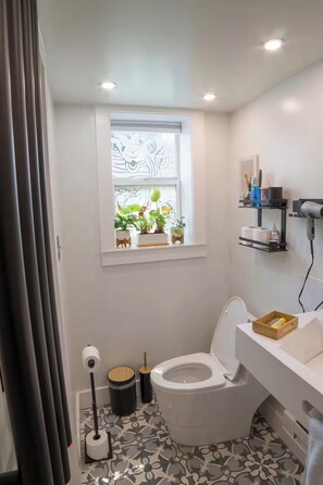 Hair dryer, towels, soap, toilet paper - Artcasa apt (Hyattsville)