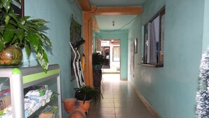 A narrow hallway with tiled flooring, a green wall, and a ceiling with exposed beams. There are potted plants, a shelf with various items, and a door at the end of the hallway.