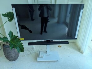 Television - World Cup-Ready:Outdoor Kitchen, Pool, Guest House (Fort Lauderdale)