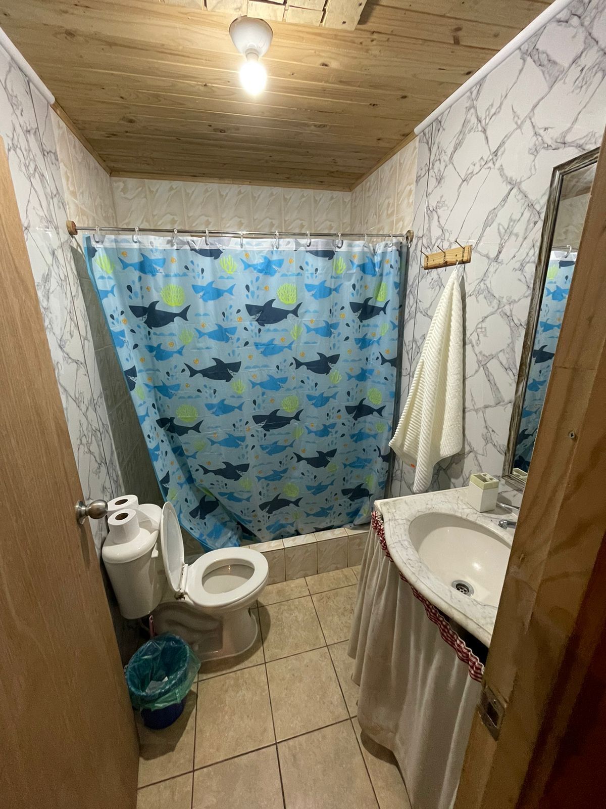 Douche, sèche-cheveux, serviettes fournies, shampoing