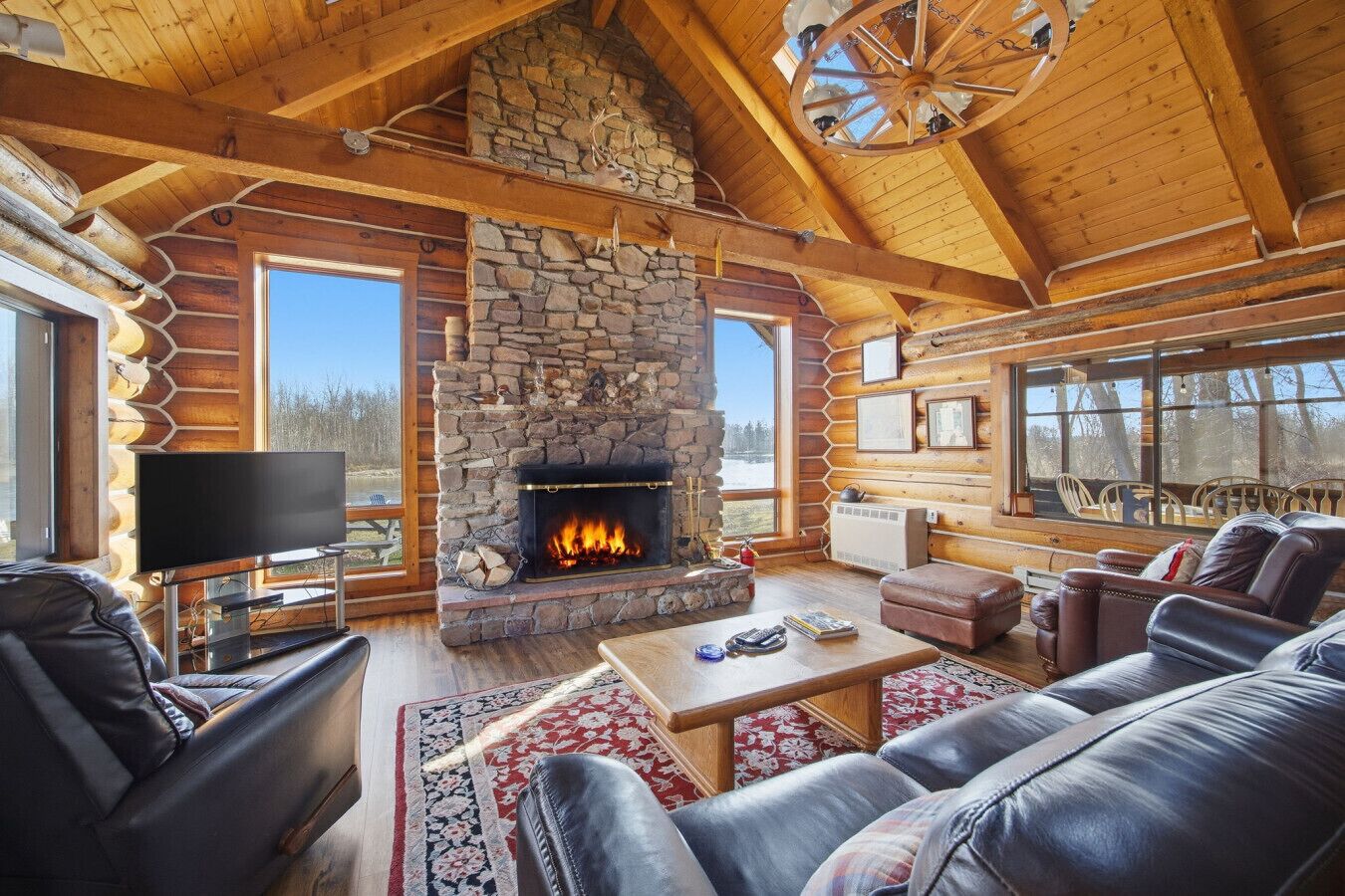 TV, fireplace, books