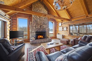 TV, fireplace, books