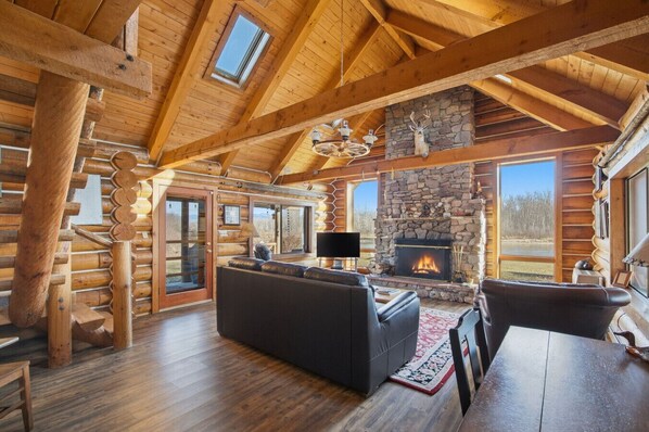 TV, fireplace, books