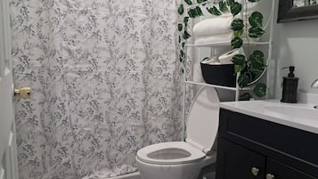 Shower, towels, soap, toilet paper