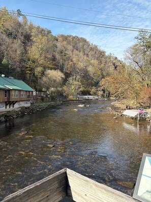 Property grounds - Mountain Views! 3BR/2Bath, NOC 5 mins! Paved Roads, Hot tub (Bryson City)