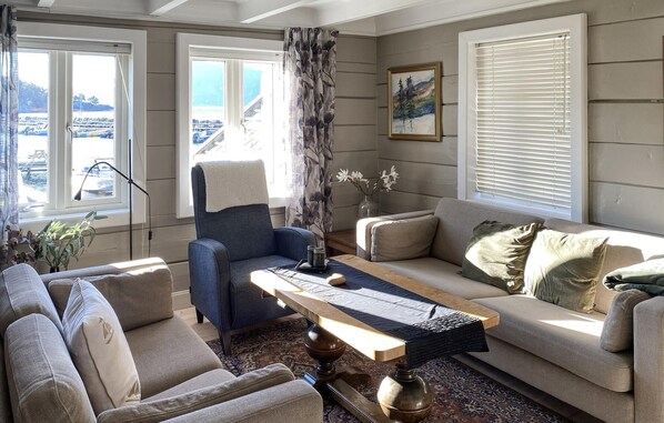 تلفزيون، مدفأة