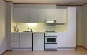 Fridge, oven, stovetop, coffee/tea maker