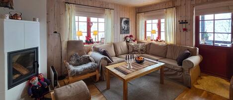 智能电视、壁炉