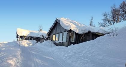 Belle maison Ă Rauland avec Wi-Fi