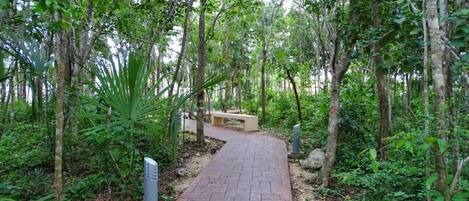 Áreas de la propiedad