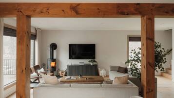 Smart TV, fireplace, video games, books