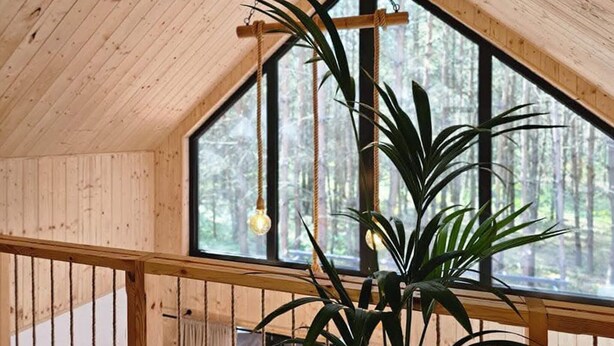 Un interior de madera con un ventanal grande, una planta y una lámpara colgante.