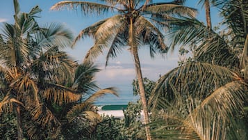 Panoramic Studio Suite, Garden View | Garden view