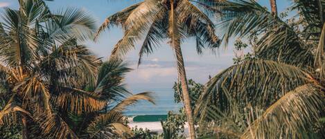 A tropical beach scene with palm trees and a view of the ocean.